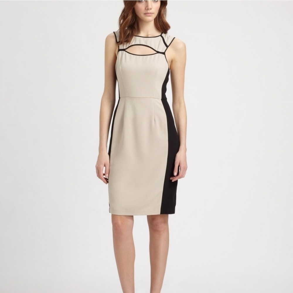 BCBGMaxAzria Kelsee Colorblock Sheath Dress 2 Cutout Office Siren Career Chic